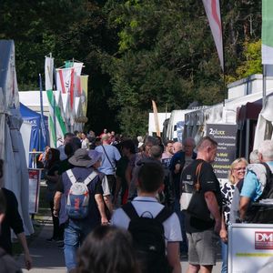 Deutsche Meisterschaften 2025 - Tag 5